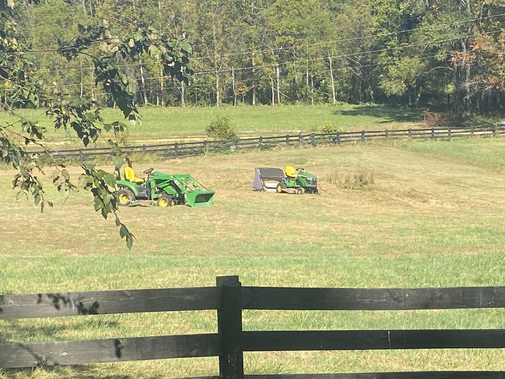 195 Terri Draper Road Frenchburg, KY 40322 - Photo 42 of 48 Farm Pic 14