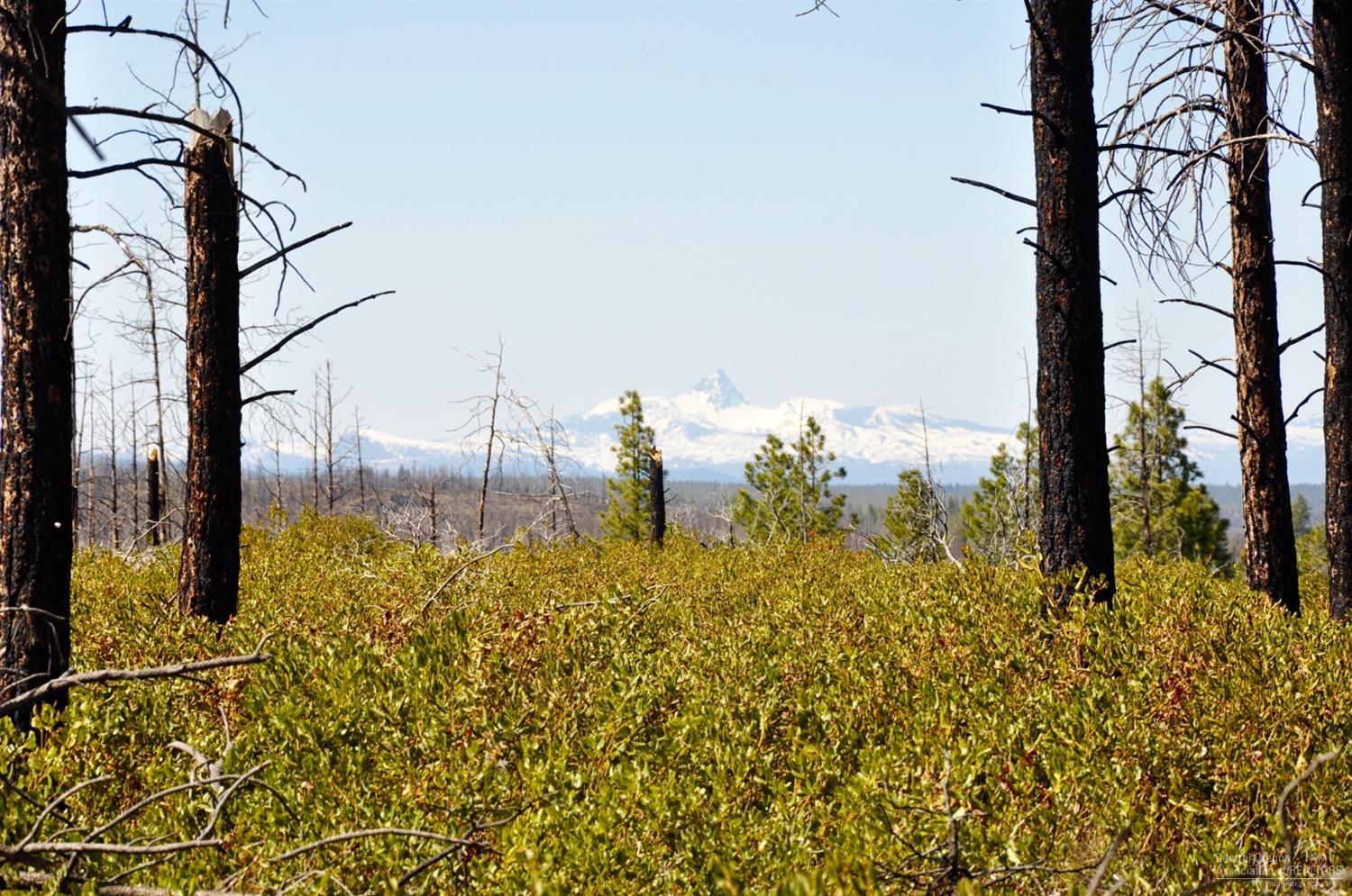 62755 Service Road Bend, OR 97703 - Photo 10 of 24 On the West boundary of Parcel #1 looking West.