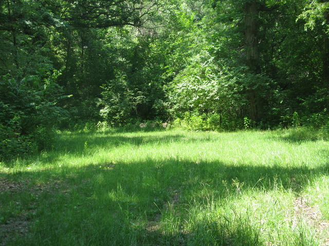 1 Raymond Road Big Rock, IL 60511 - Photo 3 of 3 a view of lake background with green space
