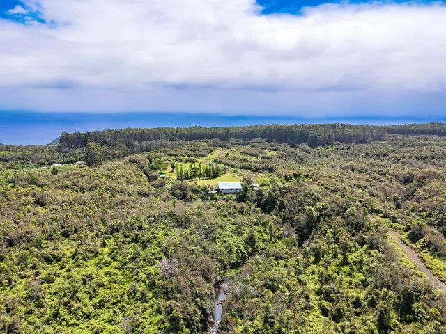 a view of a city with lush green forest