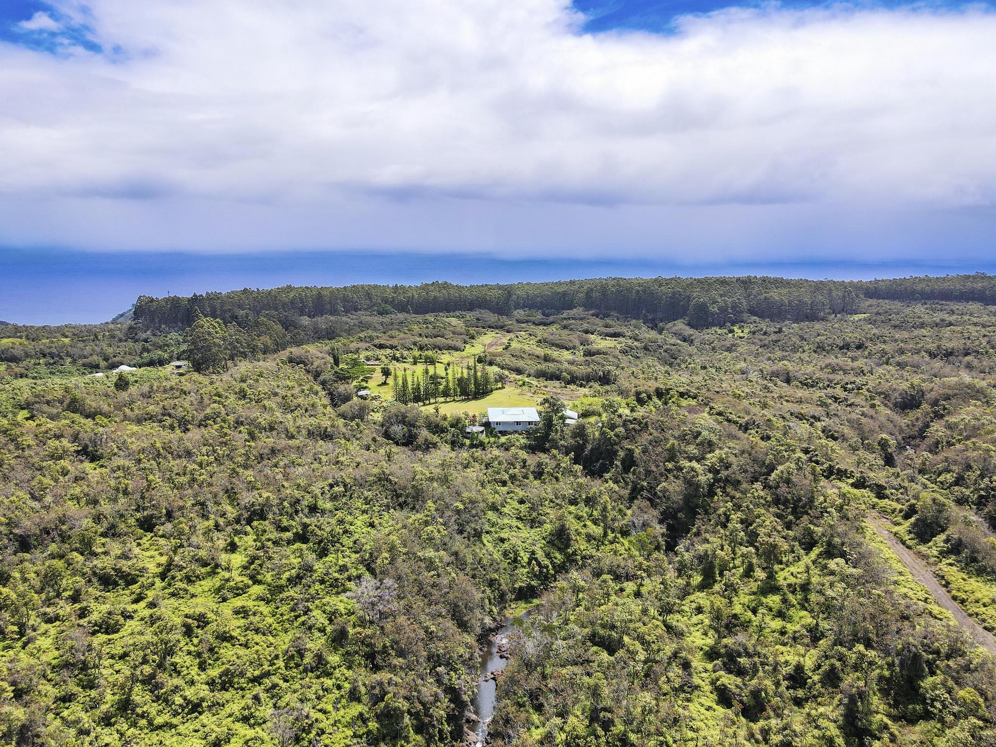 34-1480 Honomainoa Road Papaaloa, HI 96764 - Photo 11 of 30 a view of a city with lush green forest