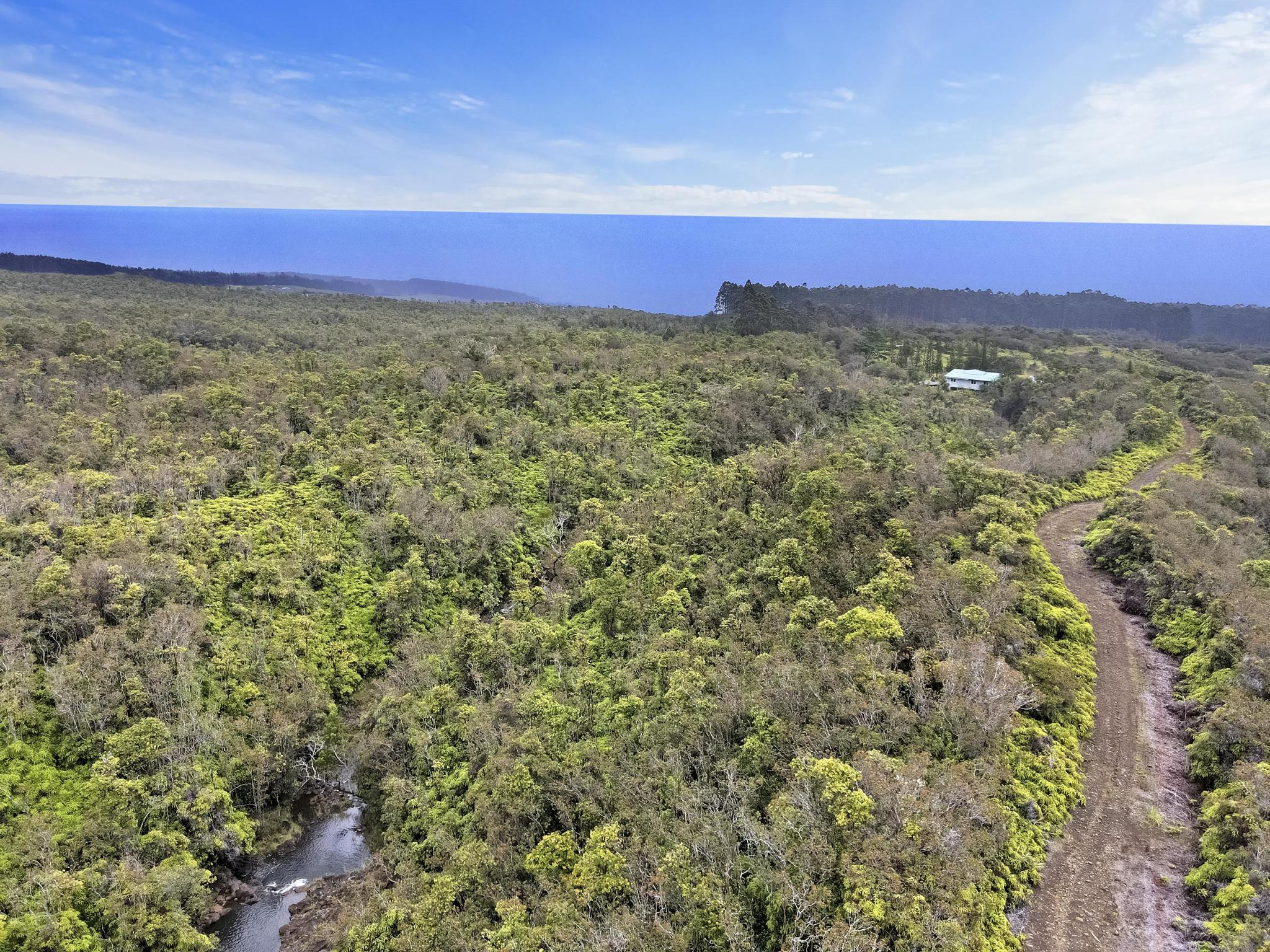 34-1480 Honomainoa Road Papaaloa, HI 96764 - Photo 5 of 30 a view of a yard with an outdoor space