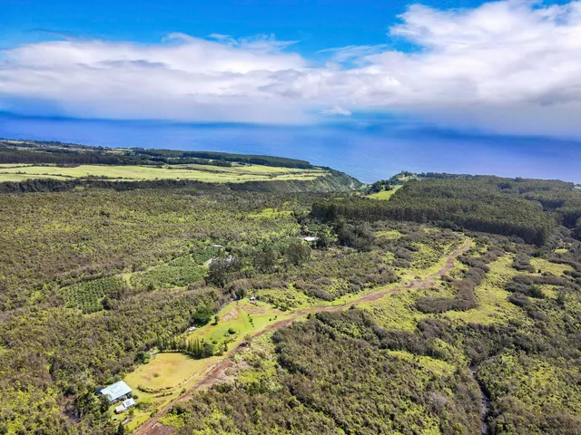 a view of a city with ocean view
