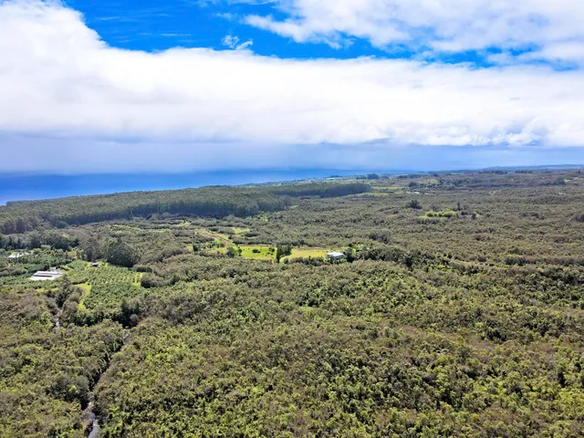 a view of a sky from a yard