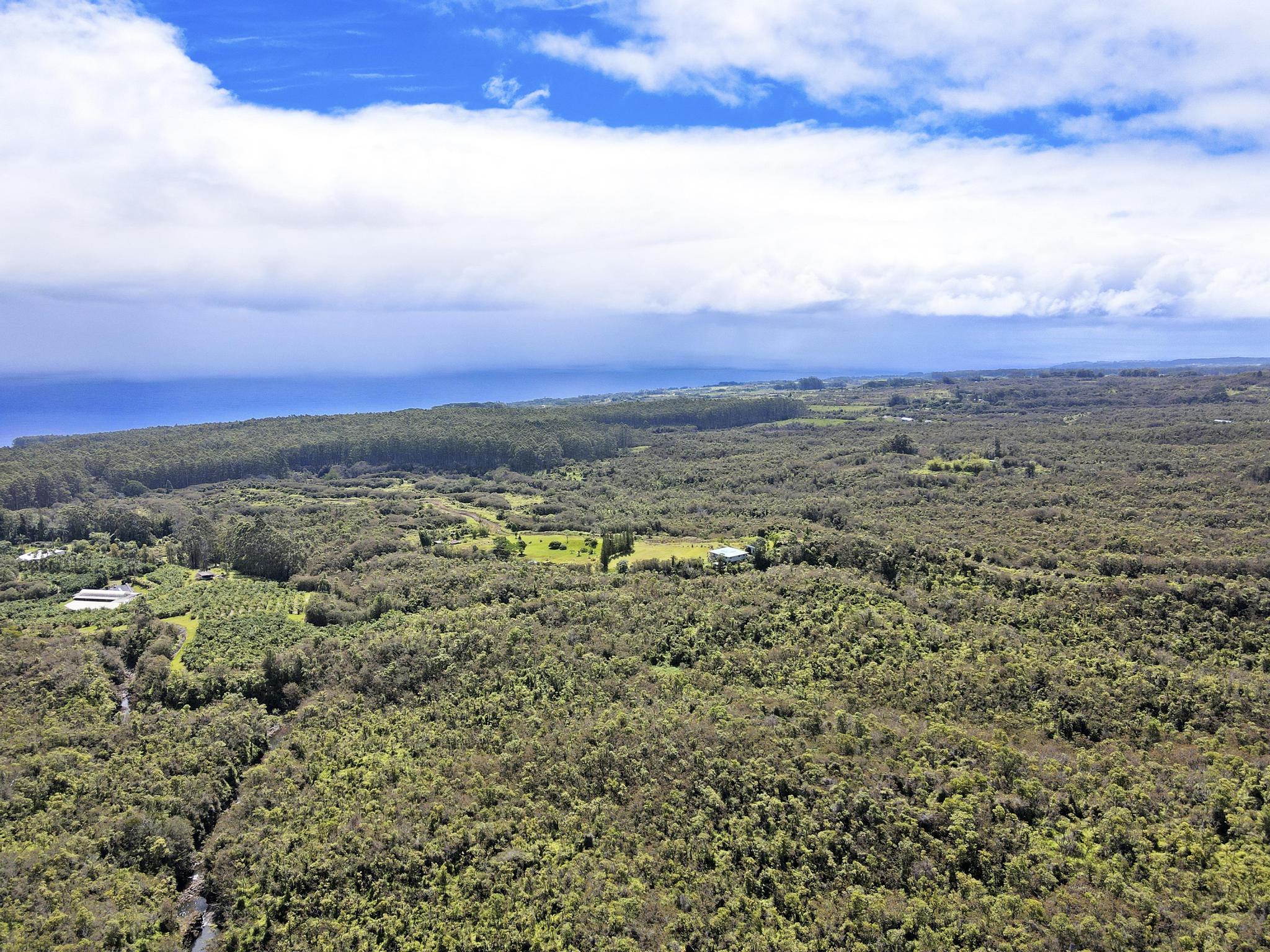 34-1480 Honomainoa Road Papaaloa, HI 96764 - Photo 9 of 30 a view of a sky from a yard