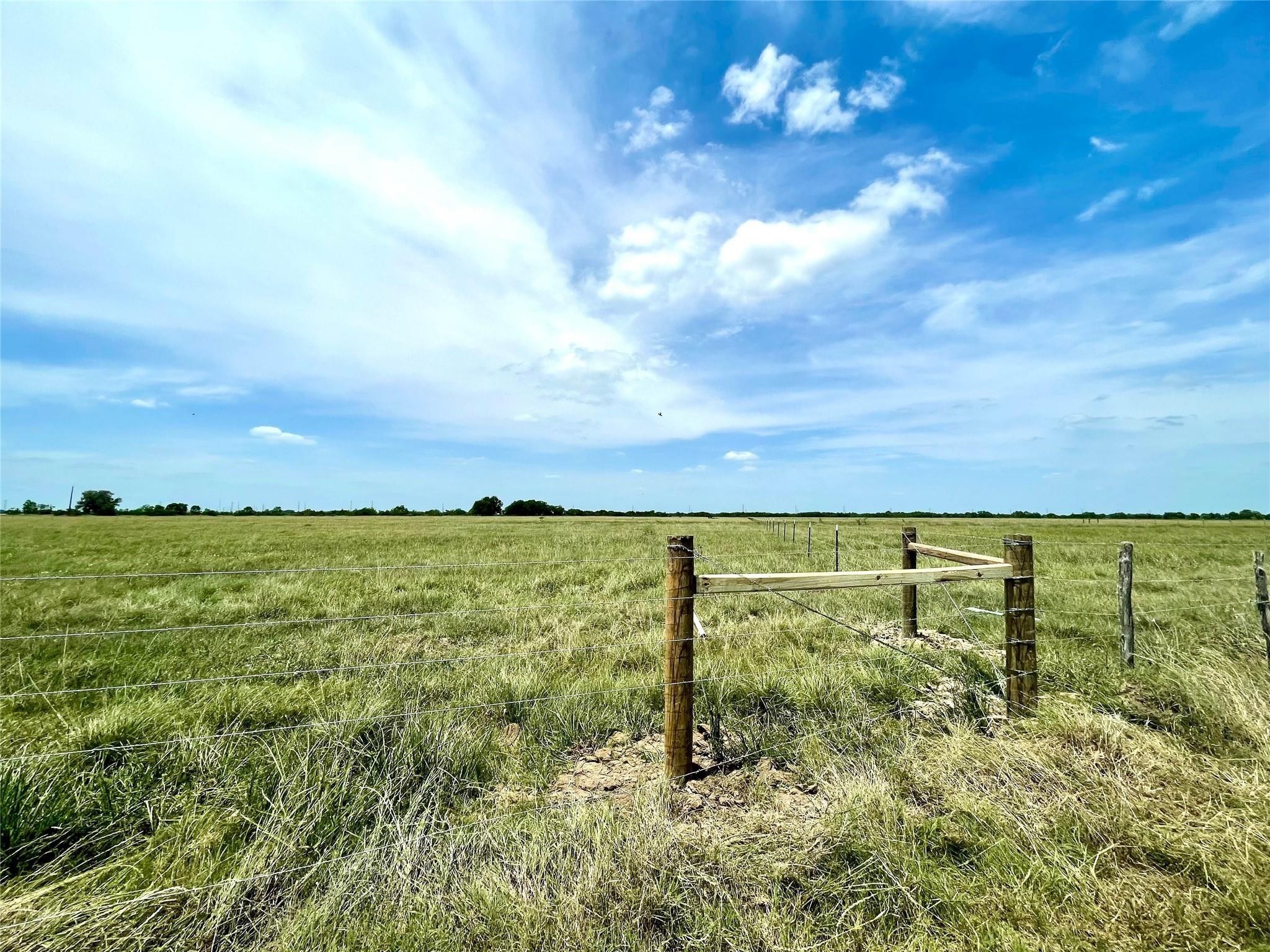 11353 FM 1994 Road Guy, TX 77444 - Photo 1 of 5