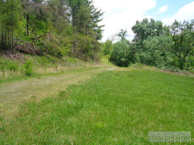 1759 Howard Colvard Road Crumpler, NC 28617 - Photo 4 of 12 Gallery Image 4
