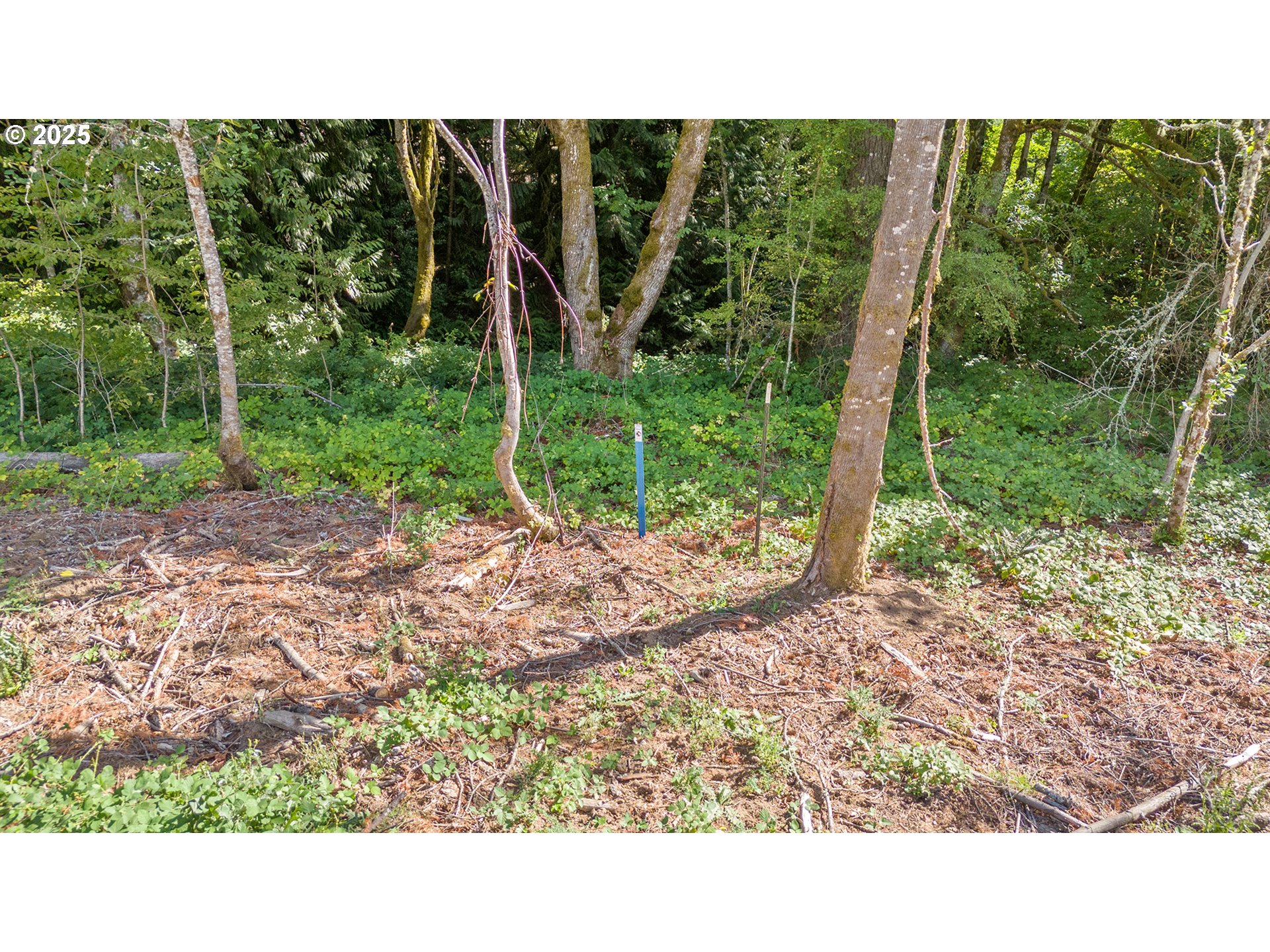 20194 Southwest Kruger Road Sherwood, OR 97140 - Photo 10 of 10