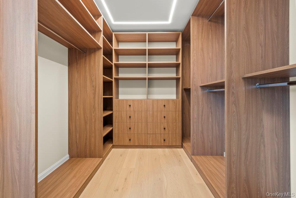 176-12 Kildare Road Queens, NY 11432 - Photo 14 of 34 Walk in closet featuring light wood-style flooring