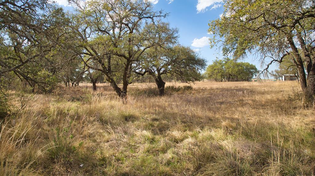 0 East Old Mason Road Fredonia, TX 76842 - Photo 1 of 20 Main View
