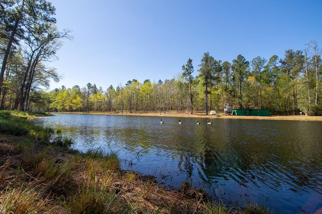 2115 Poplar Road Barnwell, SC 29812 - Photo 19 of 41
