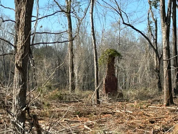 $439,000 | 50-acres Bridlewood Road, Cheraw, SC 29520