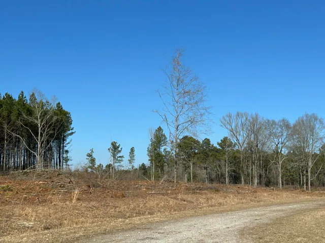 $429,000 | 50-acres Bridlewood Road, Cheraw, SC 29520