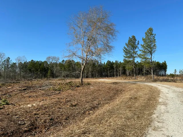$429,000 | 50-acres Bridlewood Road, Cheraw, SC 29520