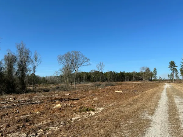 $439,000 | 50-acres Bridlewood Road, Cheraw, SC 29520