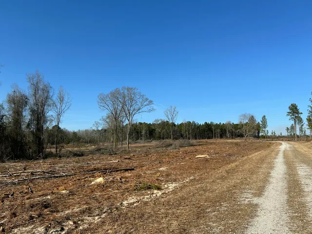 $429,000 | 50-acres Bridlewood Road, Cheraw, SC 29520