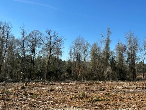 $439,000 | 50-acres Bridlewood Road, Cheraw, SC 29520