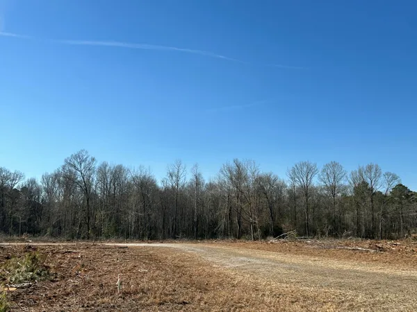 $439,000 | 50-acres Bridlewood Road, Cheraw, SC 29520