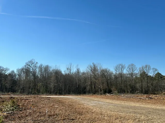$429,000 | 50-acres Bridlewood Road, Cheraw, SC 29520
