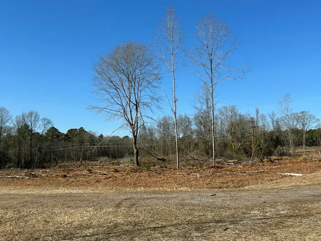 $429,000 | 50-acres Bridlewood Road, Cheraw, SC 29520