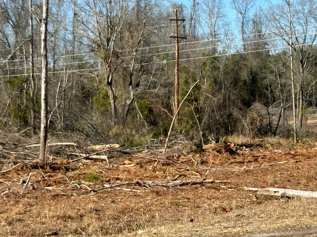 $429,000 | 50-acres Bridlewood Road, Cheraw, SC 29520