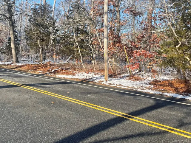 $100,000 | Eastport Manor Road, Manorville, NY 11949