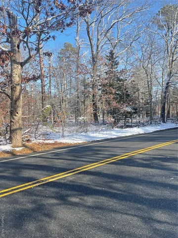 a view of a house with a yard and large trees