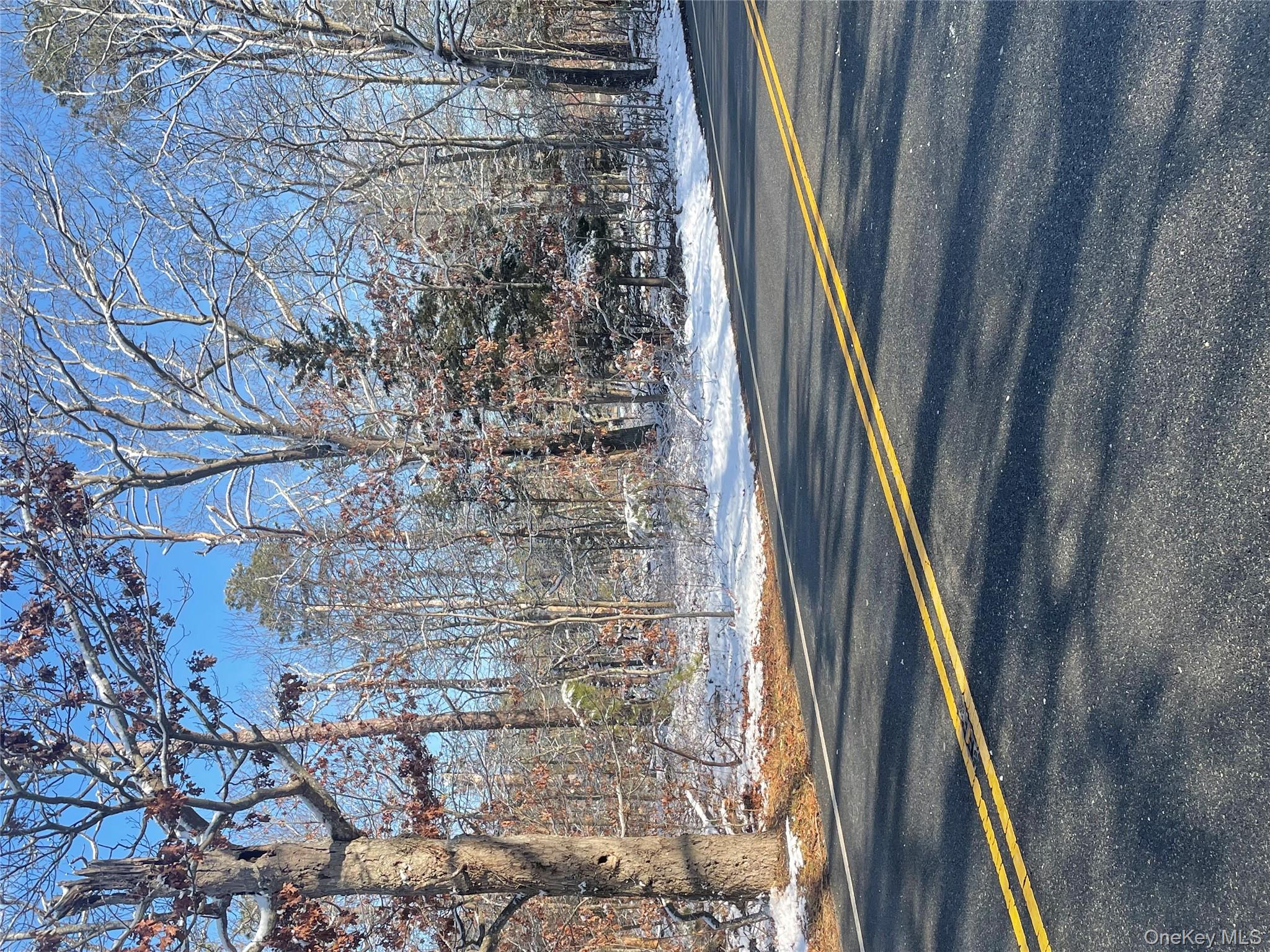 Eastport Manor Road Manorville, NY 11949 - Photo 2 of 4