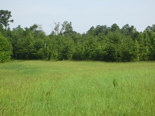 0 Gyles Storey Road Wagener, SC 29164 - Photo 1 of 3