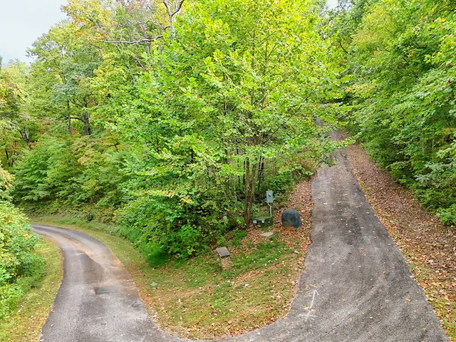 a view of a pathway both side of yard