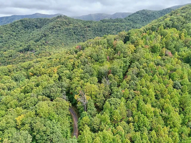 a view of a green field with lots of bushes