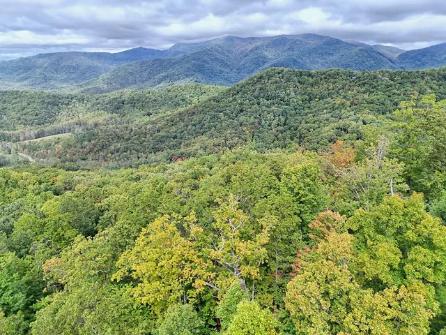 a view of a lush green field