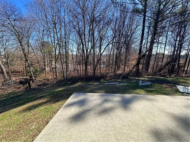 a view of backyard with green space