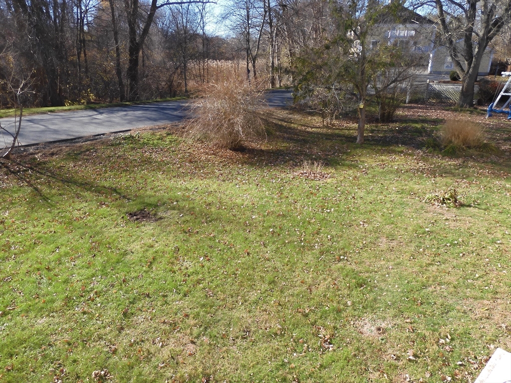 115 Merrimack Road, Unit 115 Methuen, MA 01844 - Photo 20 of 23 a view of yard with tree