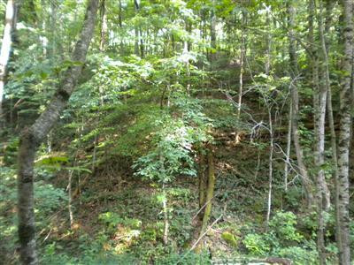 378 Old Gauley Road Livingston, KY 40445 - Photo 35 of 44 Photo 35