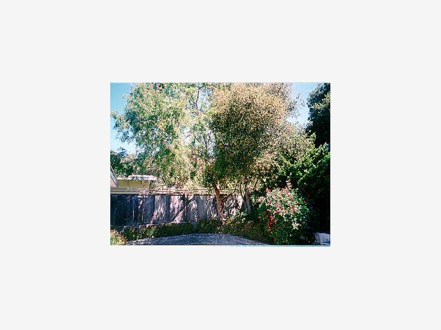 810 Rosita Road Del Rey Oaks, CA 93940 - Photo 7 of 9 a view of a yard