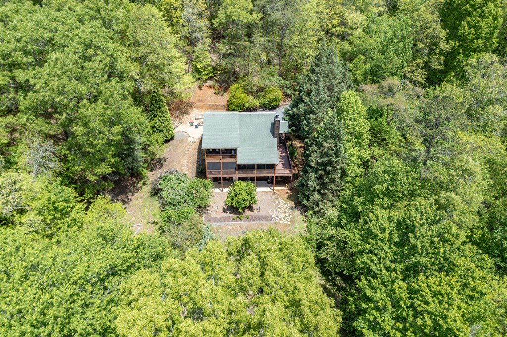 1204 Brookhaven Lane Blue Ridge, GA 30513 - Photo 35 of 44