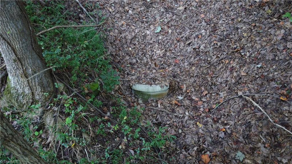 1000 Reedy Branch Road Purlear, NC 28665 - Photo 18 of 19 Spring water available on property.