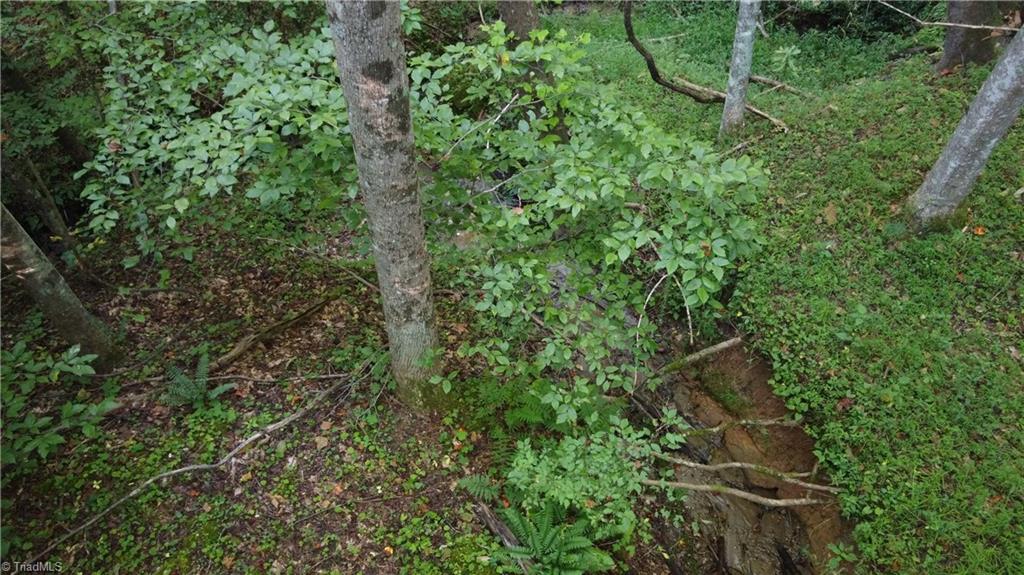 1000 Reedy Branch Road Purlear, NC 28665 - Photo 2 of 19 Small creek running through property.