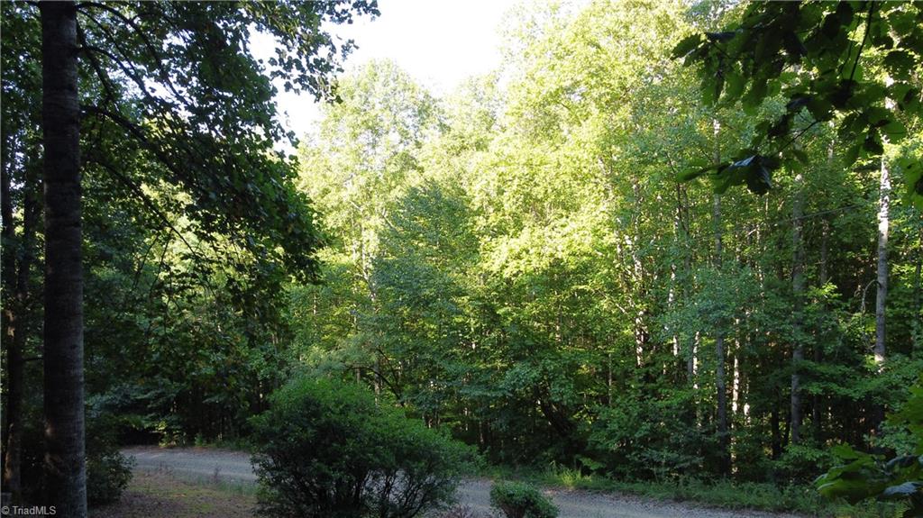 1000 Reedy Branch Road Purlear, NC 28665 - Photo 3 of 19 Gallery Image 3