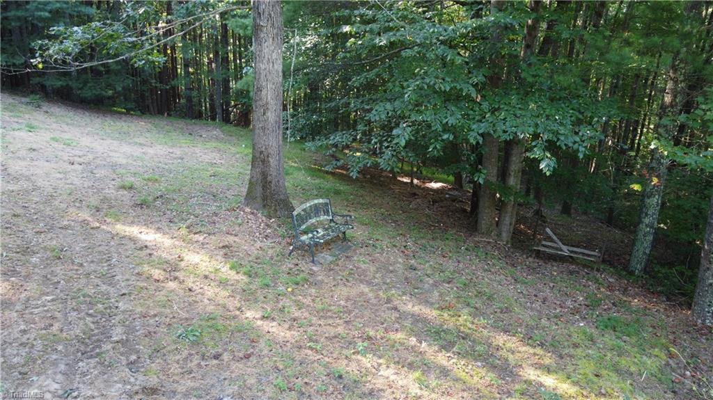 1000 Reedy Branch Road Purlear, NC 28665 - Photo 5 of 19 Gallery Image 5