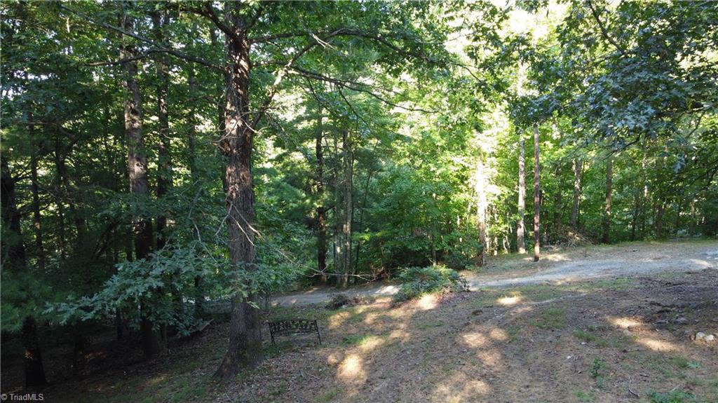 1000 Reedy Branch Road Purlear, NC 28665 - Photo 6 of 19 Gallery Image 6
