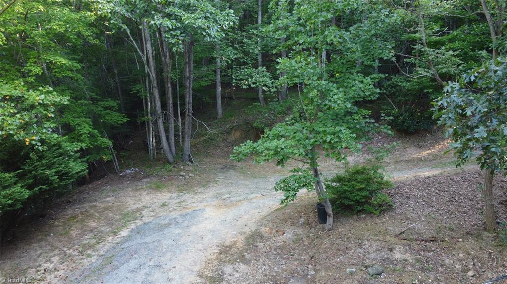 1000 Reedy Branch Road Purlear, NC 28665 - Photo 10 of 19 Gallery Image 10