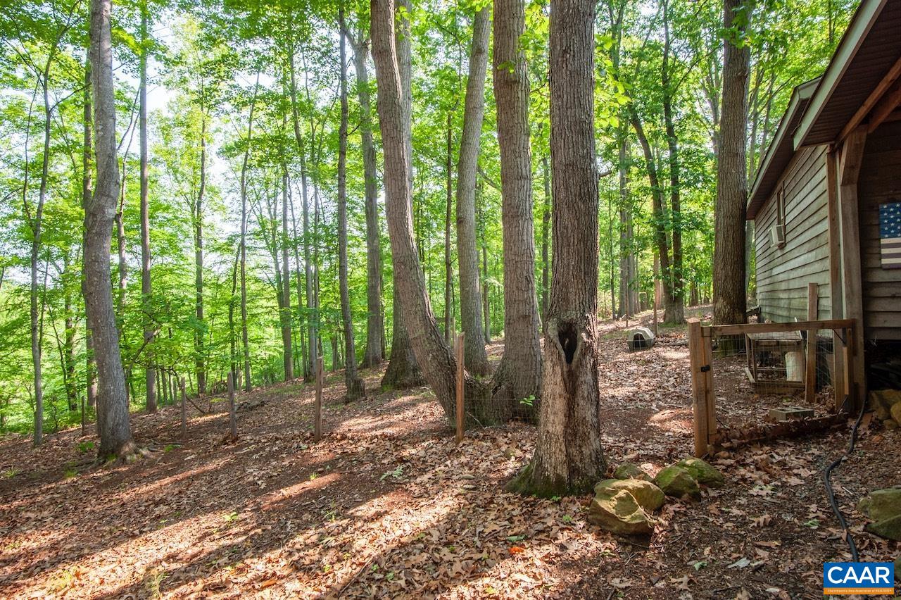 440 Rainbow Ridge Road Faber, VA 22938 - Photo 54 of 63