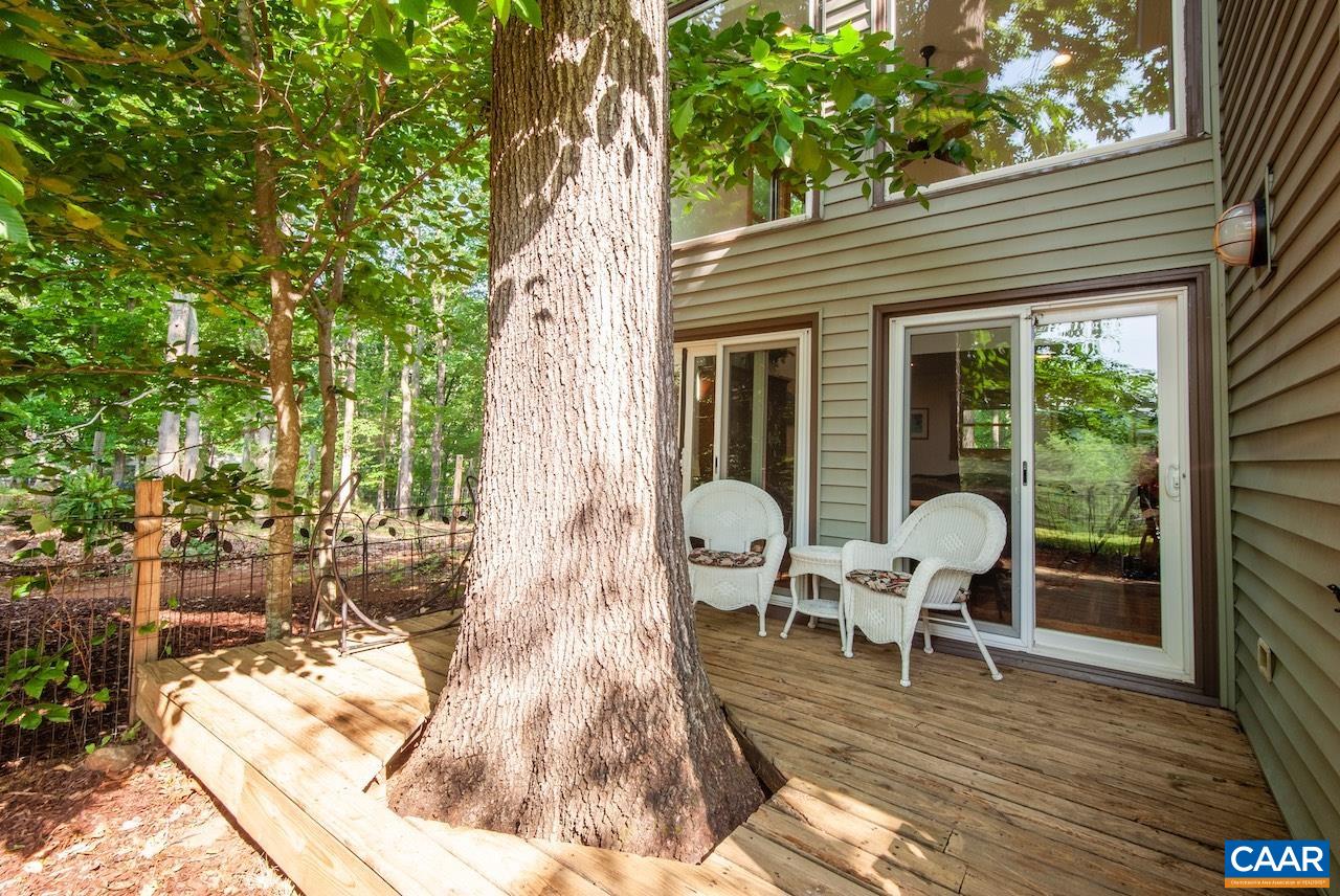 440 Rainbow Ridge Road Faber, VA 22938 - Photo 7 of 63