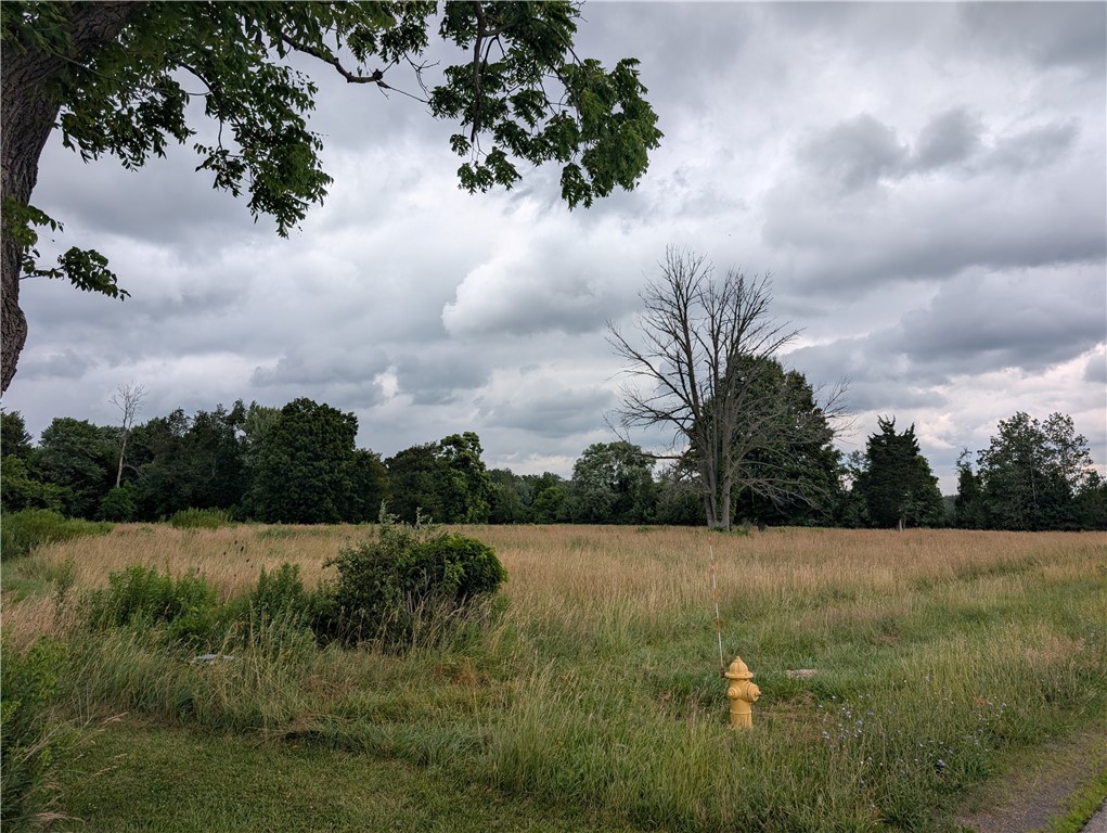 16499 Lynch Road Murray, NY 14470 - Photo 3 of 15