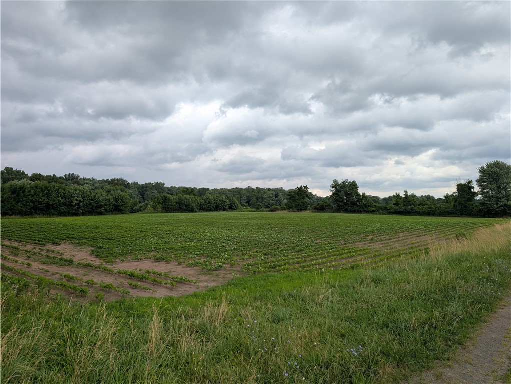 16499 Lynch Road Murray, NY 14470 - Photo 5 of 15