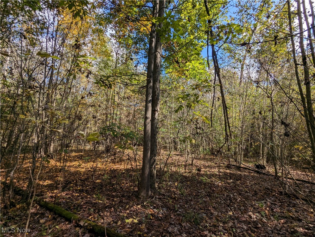 Shafer Road Northwest Warren, OH 44481 - Photo 15 of 21 Gallery Image 15