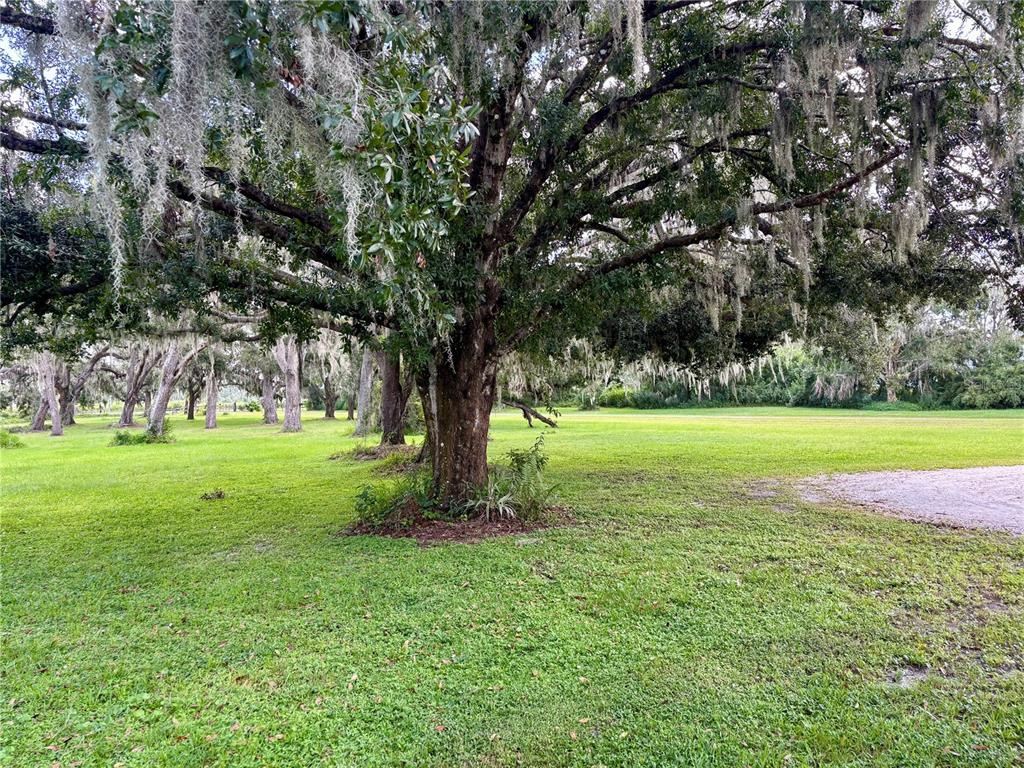 4705 Fort Hamer Road Parrish, FL 34219 - Photo 7 of 12