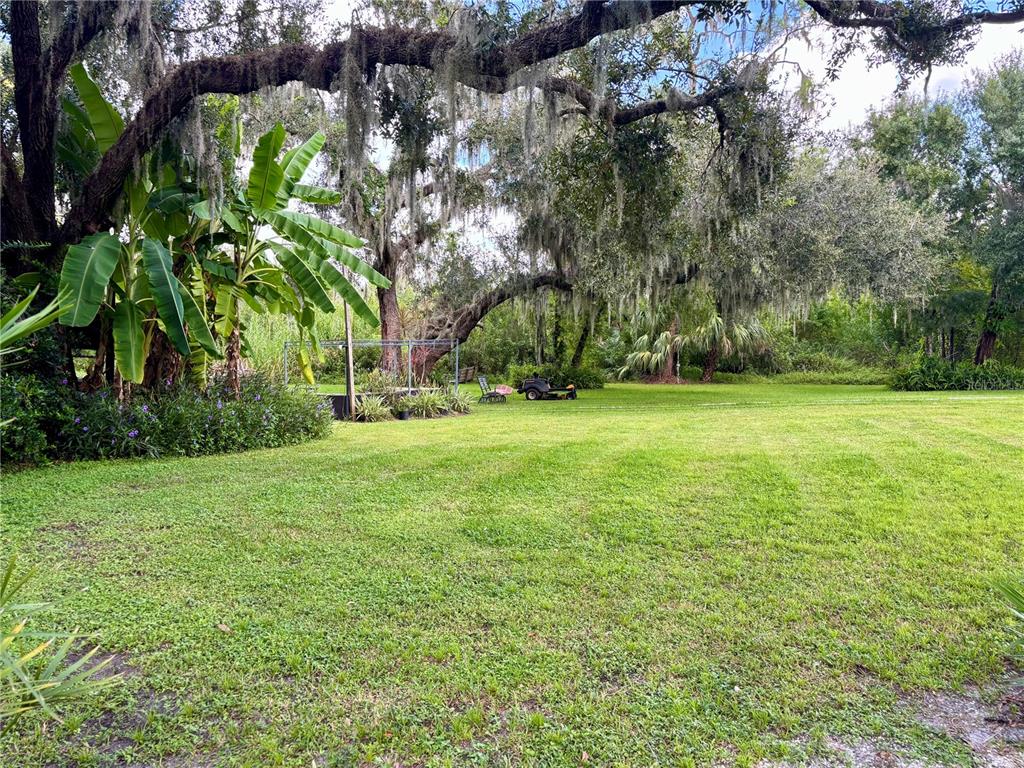 4705 Fort Hamer Road Parrish, FL 34219 - Photo 9 of 12